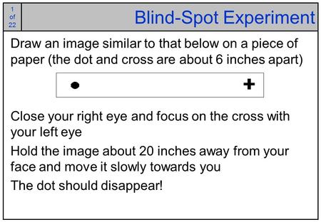 1 of 25 1 of 22 Blind-Spot Experiment Draw an image similar to that below on a piece of paper (the dot and cross are about 6 inches apart) Close your right.