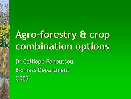 Agro-forestry & crop combination options Dr Calliope Panoutsou Biomass Department CRES.