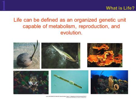 1 What is Life? Life can be defined as an organized genetic unit capable of metabolism, reproduction, and evolution.