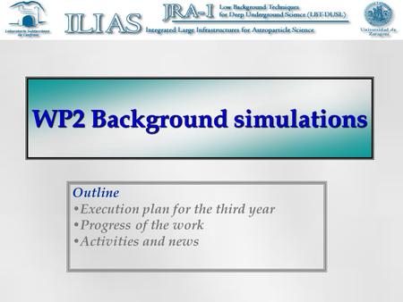 WP2 Background simulations Outline Execution plan for the third year Progress of the work Activities and news.