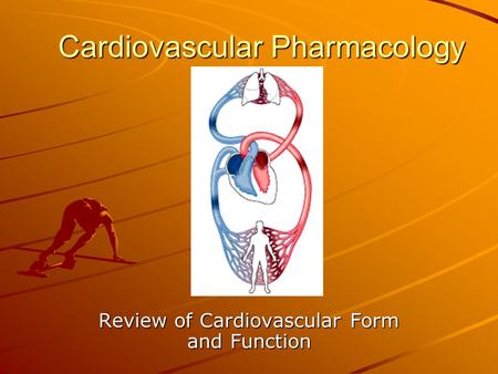 Cardiovascular Pharmacology Review of Cardiovascular Form and Function.