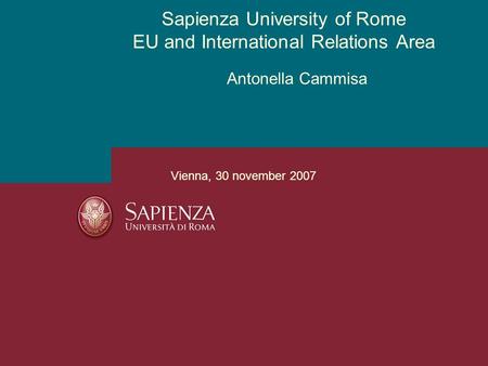 Antonella Cammisa Sapienza University of Rome EU and International Relations Area Vienna, 30 november 2007.
