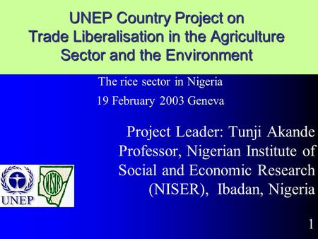 UNEP Country Project on Trade Liberalisation in the Agriculture Sector and the Environment Project Leader: Tunji Akande Professor, Nigerian Institute.
