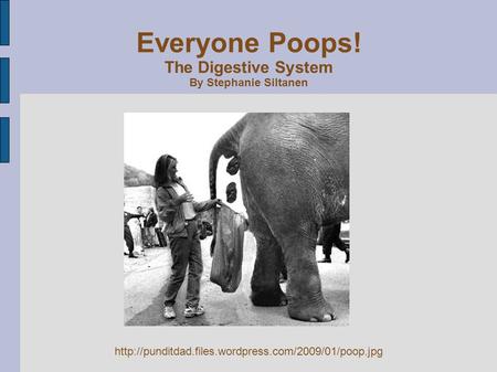 Everyone Poops! The Digestive System By Stephanie Siltanen