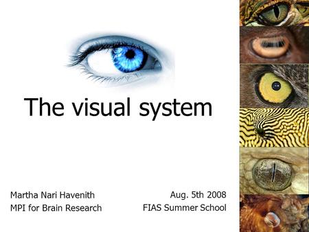 The visual system Martha Nari Havenith MPI for Brain Research Aug. 5th 2008 FIAS Summer School.