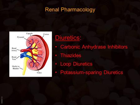 BIMM118 Renal Pharmacology Diuretics: Carbonic Anhydrase Inhibitors Thiazides Loop Diuretics Potassium-sparing Diuretics.