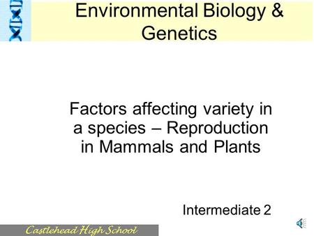C astlehead H igh S chool Factors affecting variety in a species – Reproduction in Mammals and Plants Intermediate 2 Environmental Biology & Genetics.