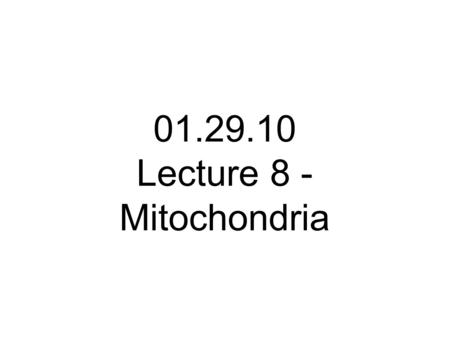 01.29.10 Lecture 8 - Mitochondria. Mitochondria perform 2 functions within the cell 1. They are the primary sites for ATP synthesis in the cell 2. They.