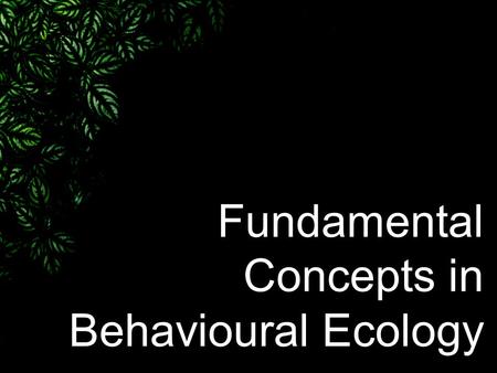 Fundamental Concepts in Behavioural Ecology. The relationship between behaviour, ecology, and evolution –Behaviour : The decisive processes by which individuals.
