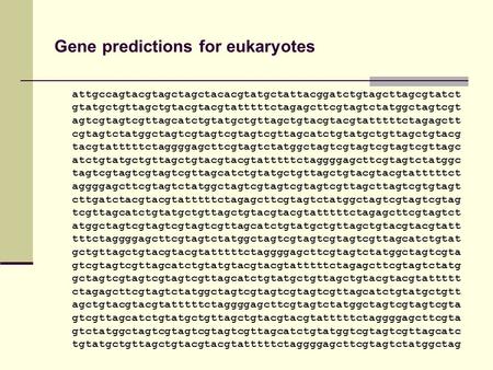 Gene predictions for eukaryotes attgccagtacgtagctagctacacgtatgctattacggatctgtagcttagcgtatct gtatgctgttagctgtacgtacgtatttttctagagcttcgtagtctatggctagtcgt.