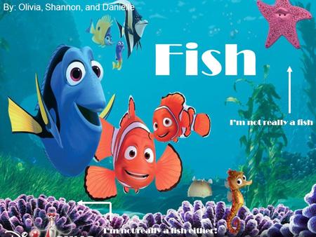 Fish By: Olivia, Shannon, and Danielle I’m not really a fish I’m not really a fish either!