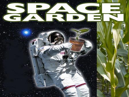 From its beginnings…… NASA has been involved with plant research and biological science in space. The space environment provides a new variable – reduced.