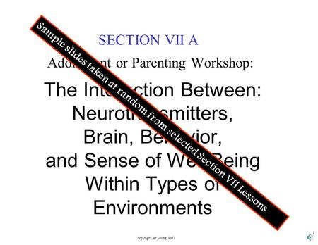 copyright, ed young, PhD 1 The Interaction Between: Neurotransmitters, Brain, Behavior, and Sense of Well Being Within Types of Environments SECTION VII.