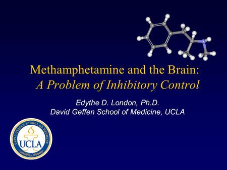 Methamphetamine and the Brain: A Problem of Inhibitory Control Edythe D. London, Ph.D. David Geffen School of Medicine, UCLA.