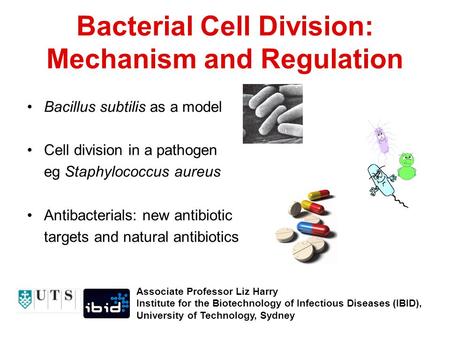 Bacterial Cell Division: Mechanism and Regulation Bacillus subtilis as a model Cell division in a pathogen eg Staphylococcus aureus Antibacterials: new.