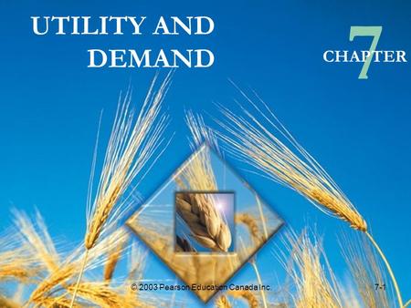 7 UTILITY AND DEMAND CHAPTER