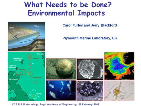 What Needs to be Done? Environmental Impacts Carol Turley and Jerry Blackford Plymouth Marine Laboratory, UK CCS R & D Workshop, Royal Academy of Engineering,