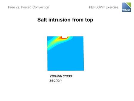 Free vs. Forced ConvectionFEFLOW ® Exercise Salt intrusion from top Vertical cross section.