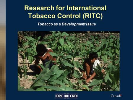 Research for International Tobacco Control (RITC) Tobacco as a Development Issue Insert your image here.