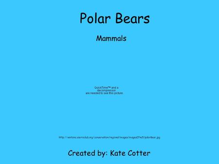 Polar Bears Mammals Created by: Kate Cotter