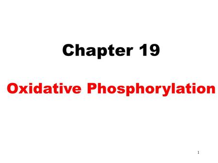 1 Chapter 19 Oxidative Phosphorylation. 2 Chapter 16 Chapter 14 Chapter 19.