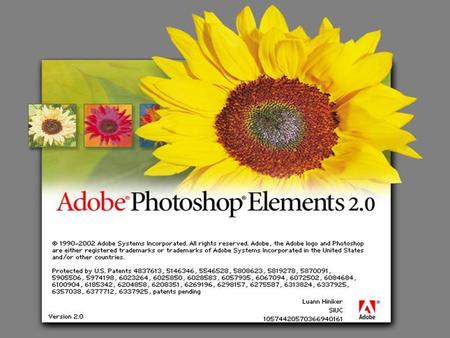 Adobe Photoshop Elements v 2.0 File Types Four most universal file formats are PSDPhotoshop Document format TIFFTagged Image File Format JPEGJoint Photographic.
