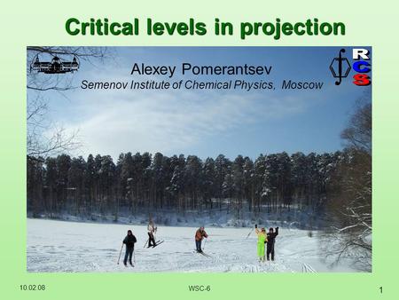 10.02.08 1 WSC-6 Critical levels in projection Alexey Pomerantsev Semenov Institute of Chemical Physics, Moscow.