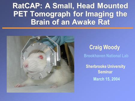 RatCAP: A Small, Head Mounted PET Tomograph for Imaging the Brain of an Awake Rat Craig Woody Brookhaven National Lab Sherbrooke University Seminar March.