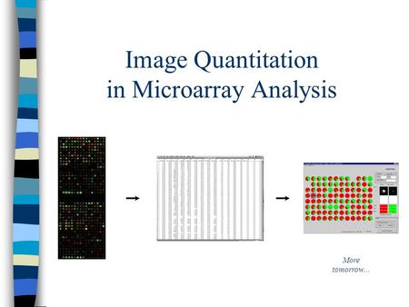 Image Quantitation in Microarray Analysis More tomorrow...