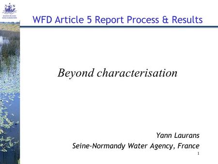 1 WFD Article 5 Report Process & Results Beyond characterisation Yann Laurans Seine-Normandy Water Agency, France.