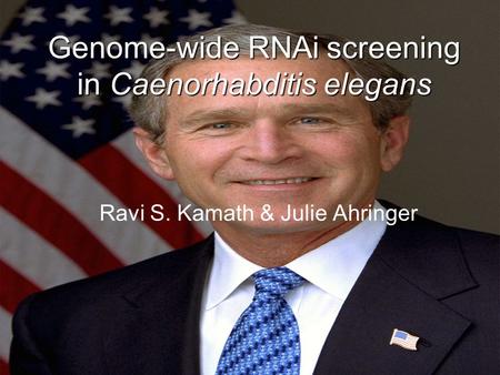 Genome-wide RNAi screening in Caenorhabditis elegans Ravi S. Kamath & Julie Ahringer.