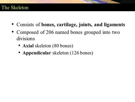 Consists of bones, cartilage, joints, and ligaments