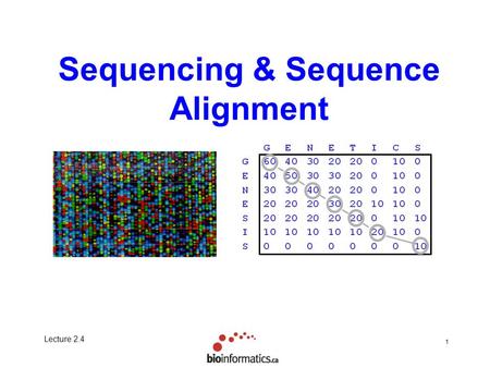 Lecture 2.4 1 Sequencing & Sequence Alignment. Lecture 2.4 2 Objectives Understand how DNA sequence data is collected and prepared Be aware of the importance.