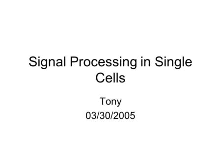 Signal Processing in Single Cells Tony 03/30/2005.