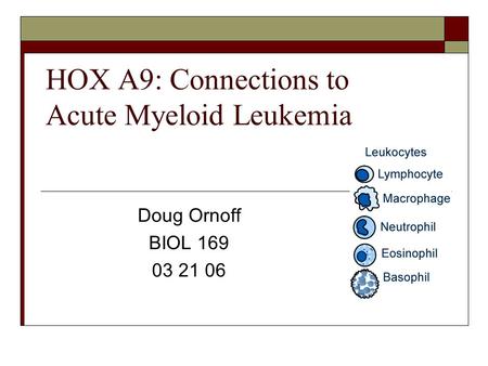 HOX A9: Connections to Acute Myeloid Leukemia Doug Ornoff BIOL 169 03 21 06.