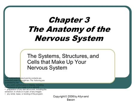 Chapter 3 The Anatomy of the Nervous System