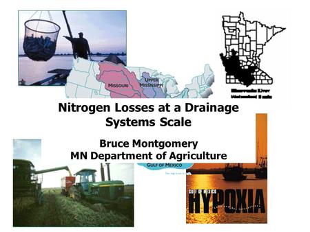 Nitrogen Losses at a Drainage Systems Scale Bruce Montgomery MN Department of Agriculture.