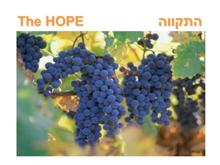 The HOPE התקווה. Colossians 1 From: Paul, an apostle of Jesus Christ by the will of G-d, and Timothy our brother. To: the people of G-d and faithful brothers.