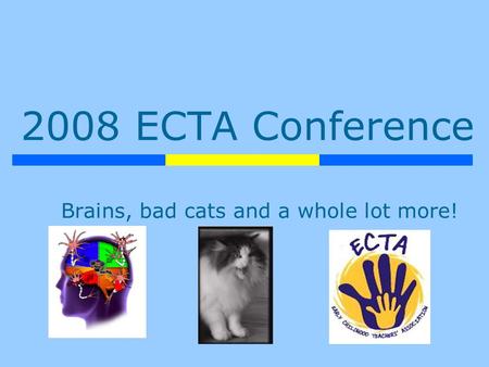 2008 ECTA Conference Brains, bad cats and a whole lot more!