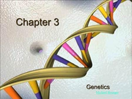 Chapter 3 Genetics Michael Hoerger. The Basics Nucleus: where most genetic material is stored, contains chromosomes Chromosomes: 46 (23 pairs), carry.