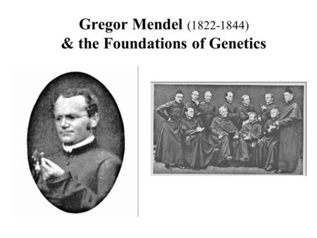 Gregor Mendel (1822-1844) & the Foundations of Genetics.