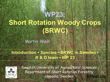 Swedish University of Agricultural Sciences Department of Short Rotation Forestry Uppsala, Sweden Introduction Species SRWC in Sweden R & D team WP 23.
