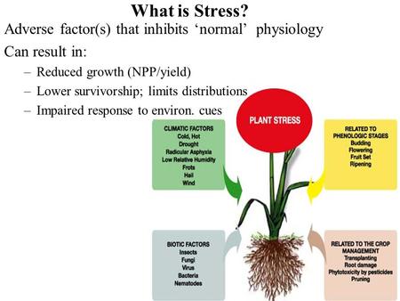 What is Stress? Adverse factor(s) that inhibits ‘normal’ physiology