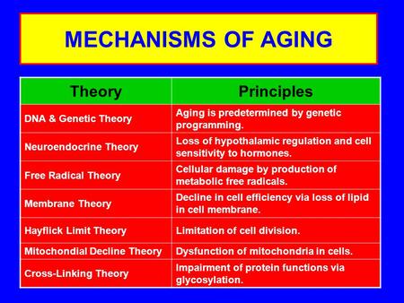 MECHANISMS OF AGING TheoryPrinciples DNA & Genetic Theory Aging is predetermined by genetic programming. Neuroendocrine Theory Loss of hypothalamic regulation.
