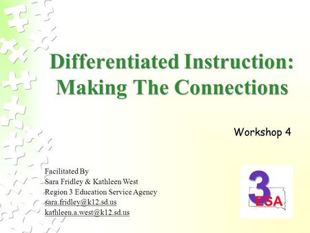 Differentiated Instruction: Making The Connections Facilitated By Sara Fridley & Kathleen West Region 3 Education Service Agency