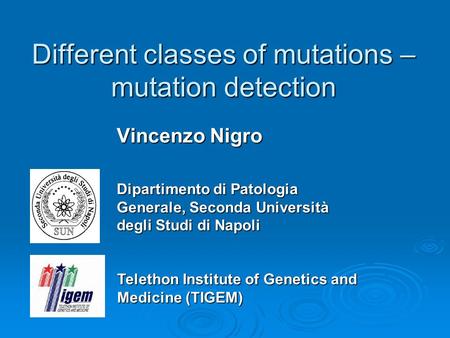 Different classes of mutations – mutation detection Vincenzo Nigro Dipartimento di Patologia Generale, Seconda Università degli Studi di Napoli Telethon.