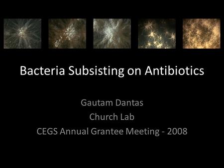 Bacteria Subsisting on Antibiotics Gautam Dantas Church Lab CEGS Annual Grantee Meeting - 2008.