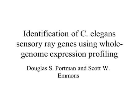 Identification of C. elegans sensory ray genes using whole- genome expression profiling Douglas S. Portman and Scott W. Emmons.
