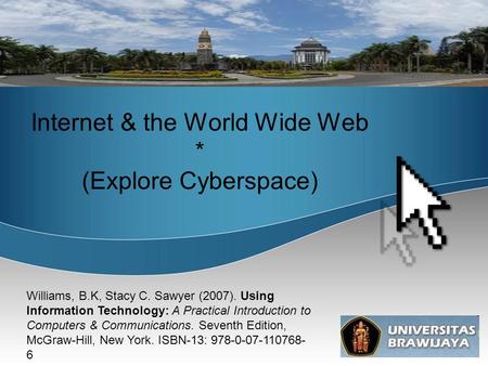 Internet & the World Wide Web * (Explore Cyberspace)