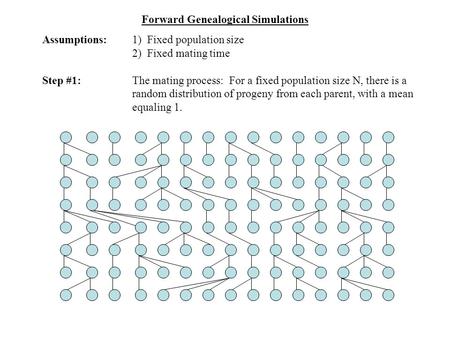 Forward Genealogical Simulations Assumptions:1) Fixed population size 2) Fixed mating time Step #1:The mating process: For a fixed population size N, there.